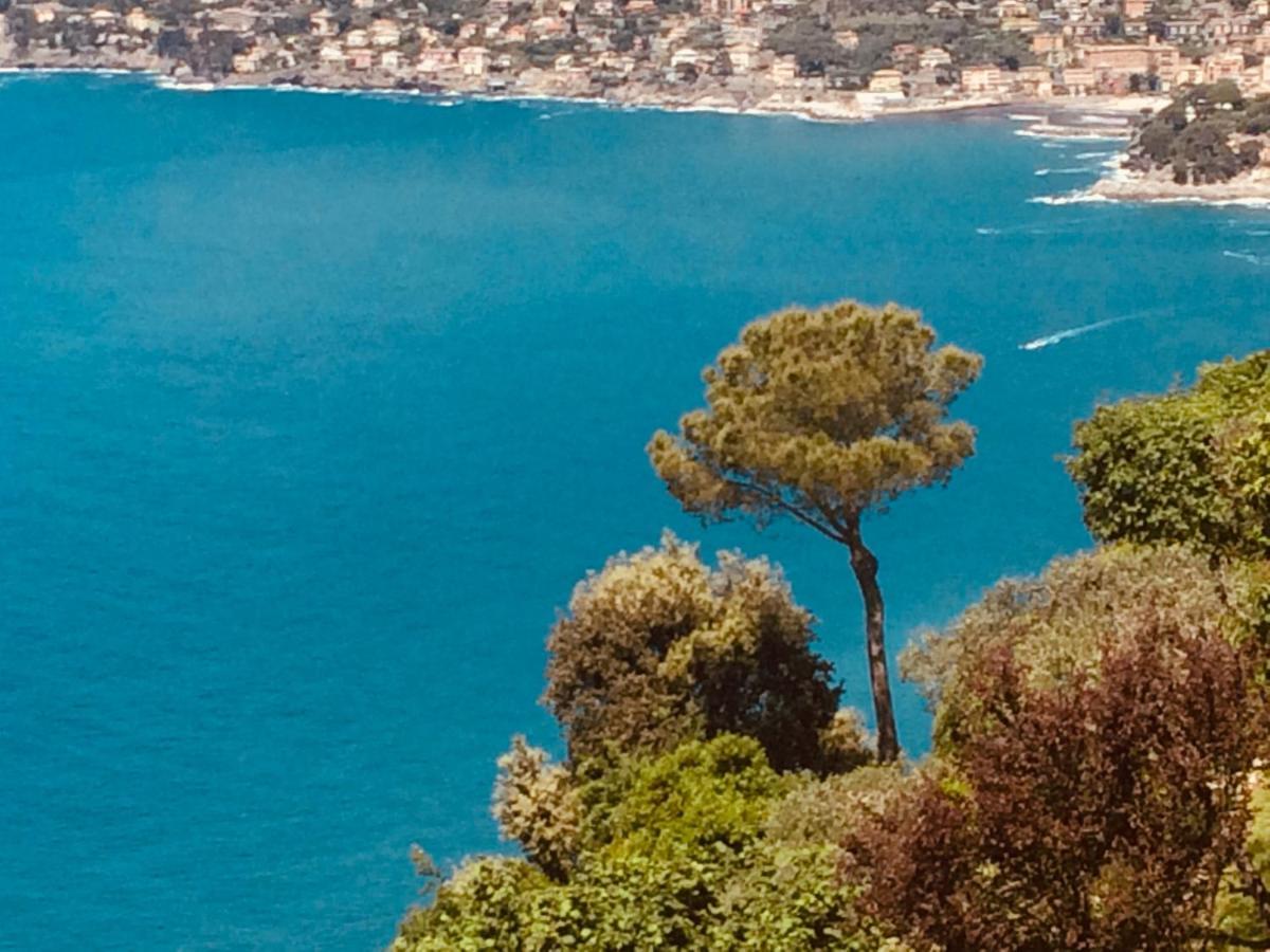 Villa Albachiara Camogli Exterior foto