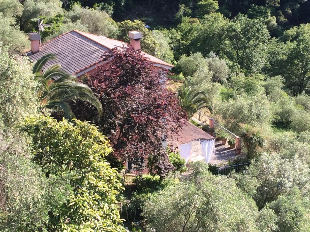 Villa Albachiara Camogli Exterior foto